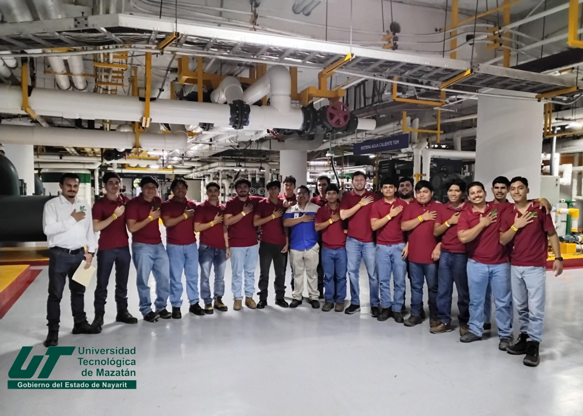 Licenciatura en Ingeniería en Mantenimiento Industrial